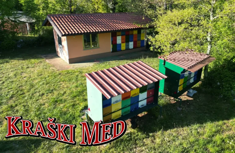 Kraški med z zaščiteno označbo porekla
